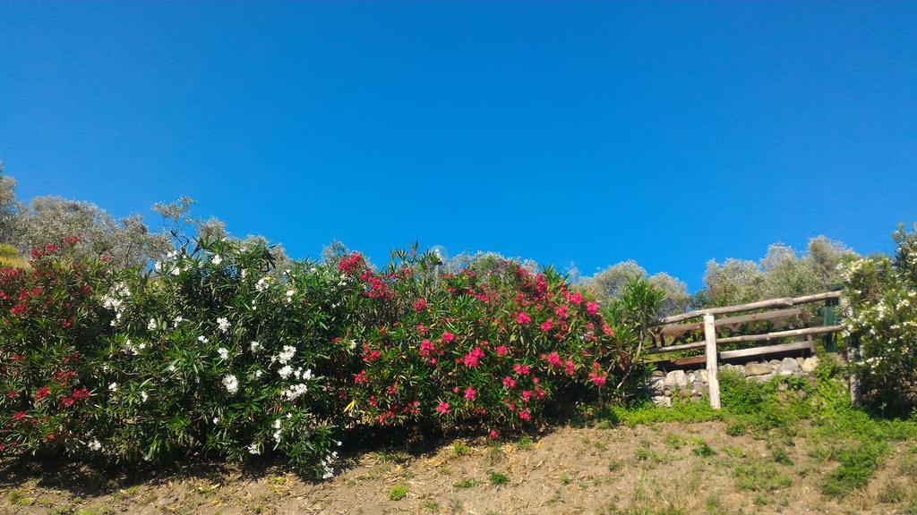 Agriturismo La Quiete 레반토 외부 사진