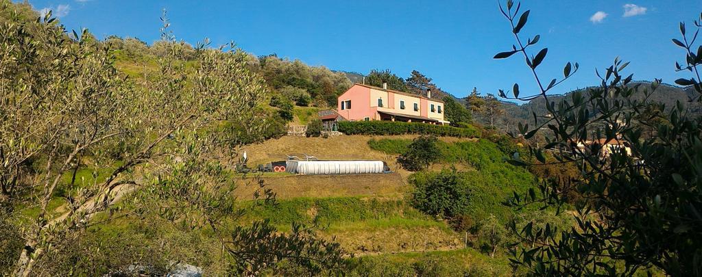 레반토 Agriturismo La Quiete 빌라 외부 사진